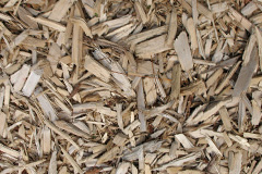 biomass boilers Grafton Underwood